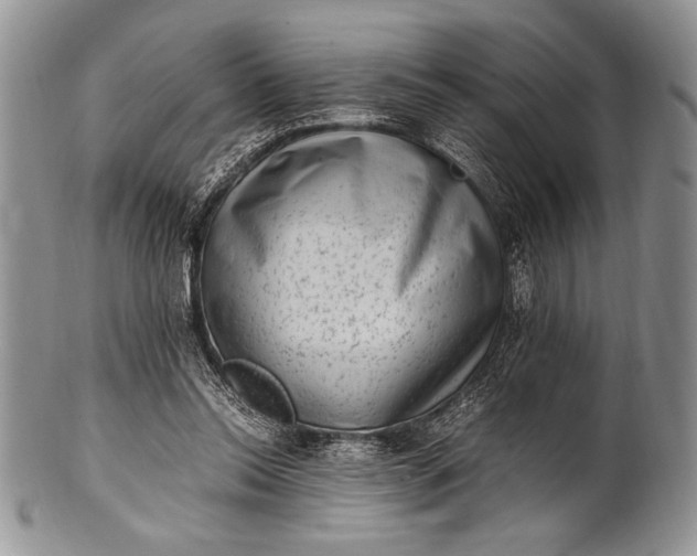 X0000100350350200806201546