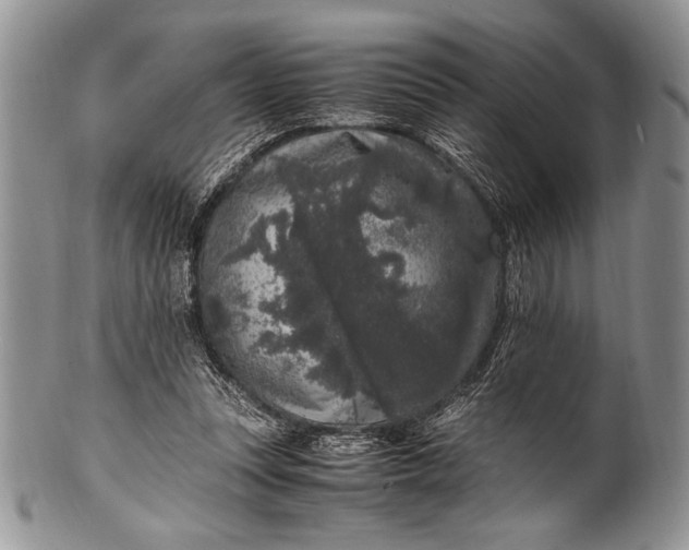 X0000100350351200806201547