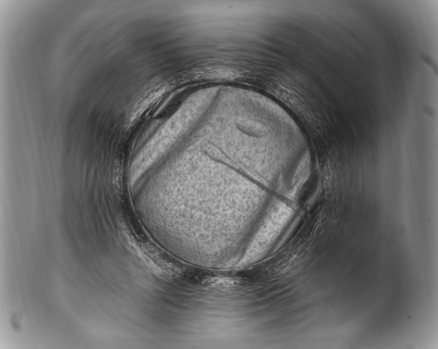 X0000100350352200806201547