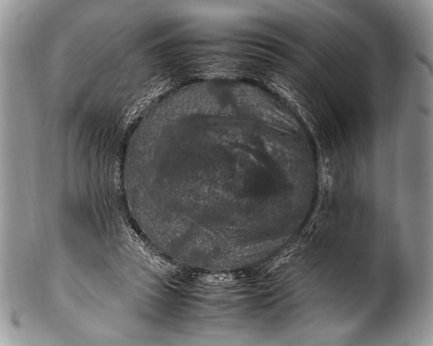 X0000100350353200806201547