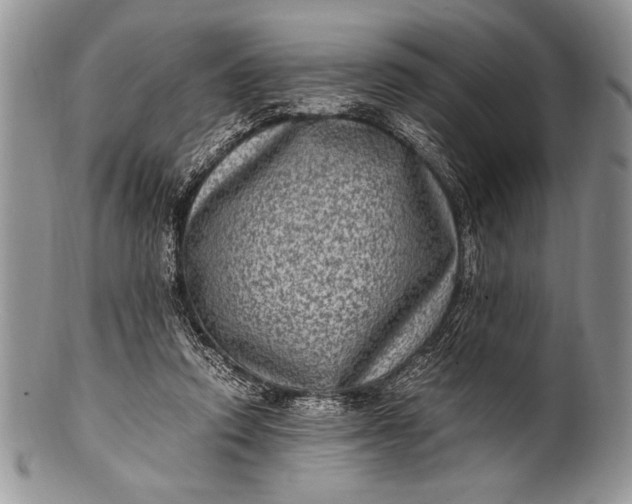 X0000100350354200806201547