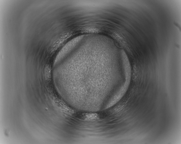 X0000100350355200806201547