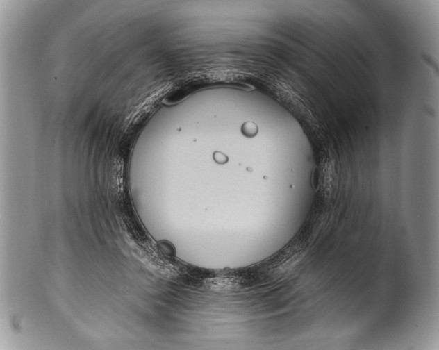 X0000100350356200806201547
