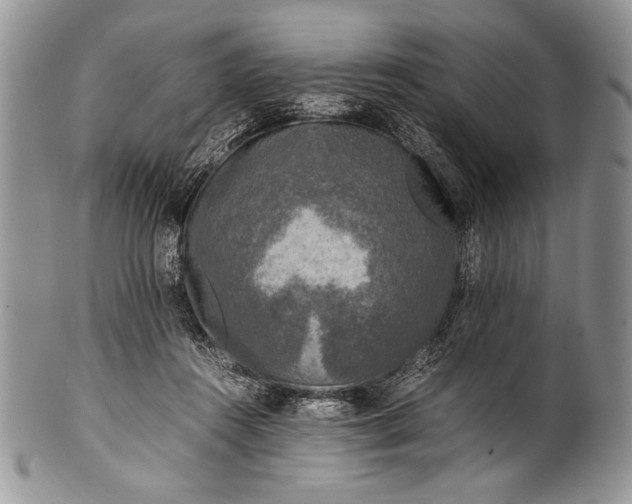 X0000100350360200806201547