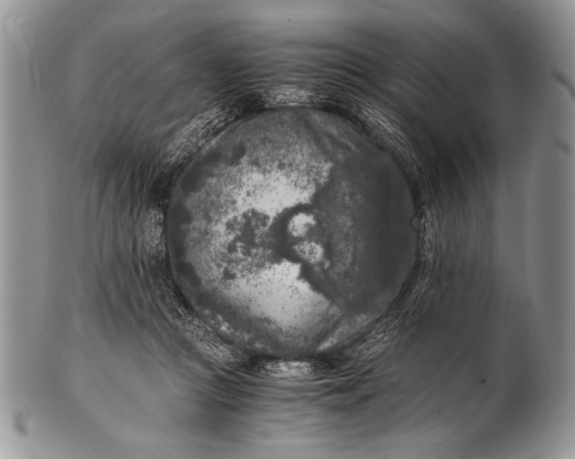 X0000100350361200806201547