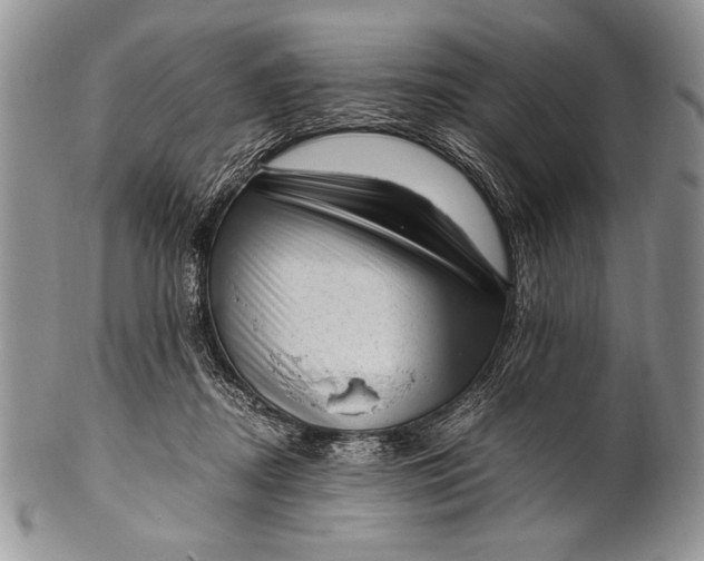 X0000100350362200806201547