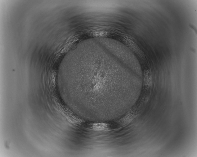 X0000100350363200806201547