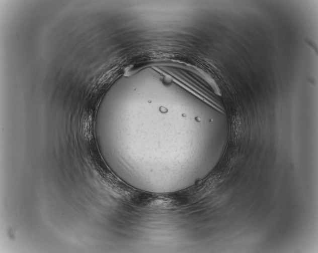 X0000100350364200806201547