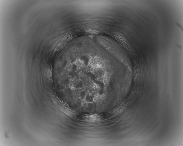 X0000100350365200806201547