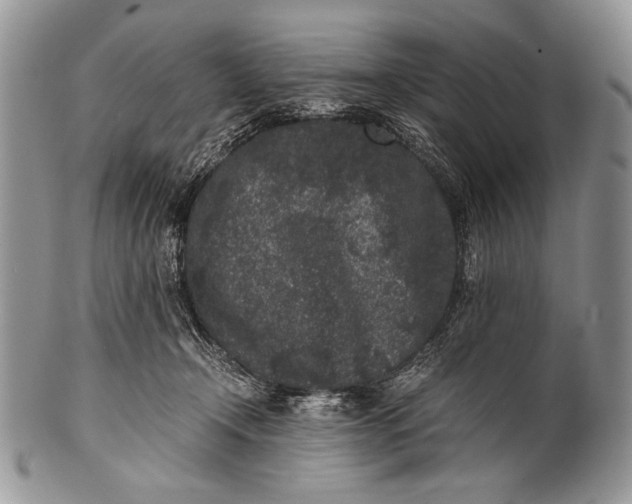 X0000100350366200806201547