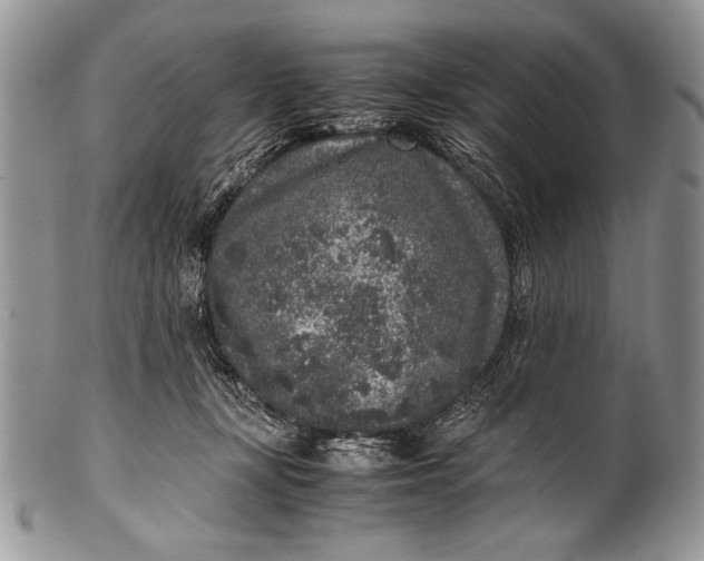 X0000100350367200806201547