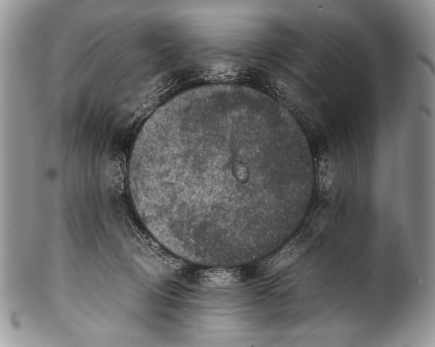 X0000100350370200806201547