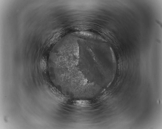 X0000100350371200806201547