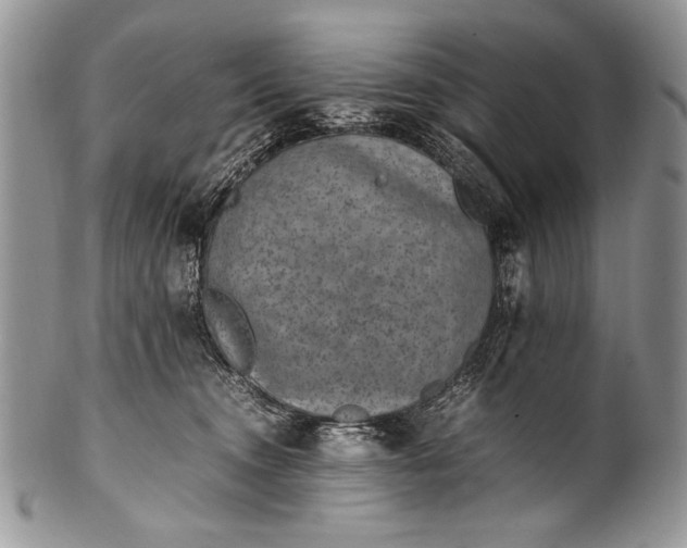 X0000100350372200806201547