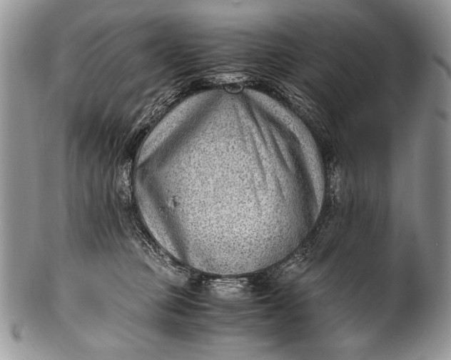 X0000100350373200806201547