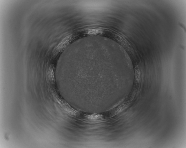 X0000100350375200806201547