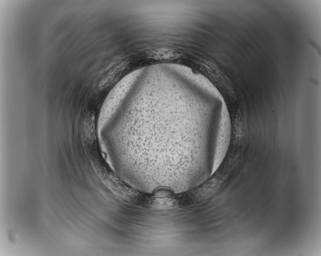 X0000100350376200806201547