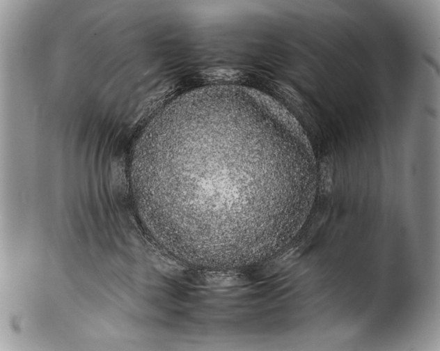 X0000100350377200806201547