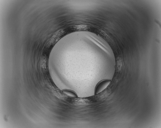 X0000100350379200806201547