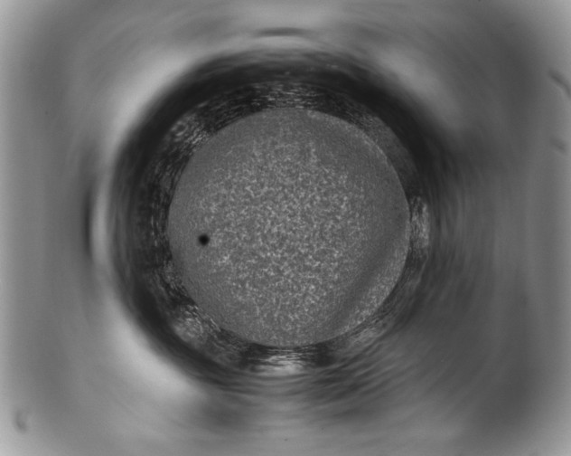 X0000100350381200806201547