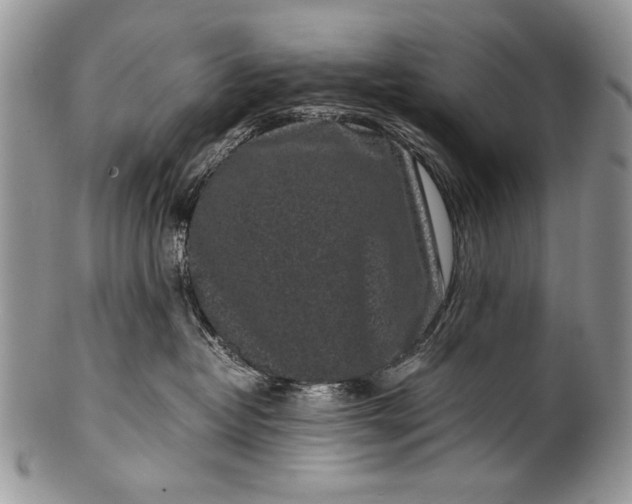 X0000100350382200806201547
