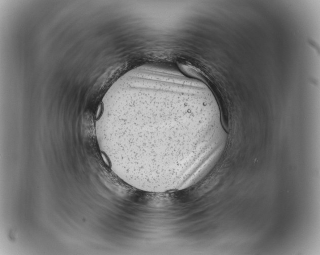 X0000100350384200806201547