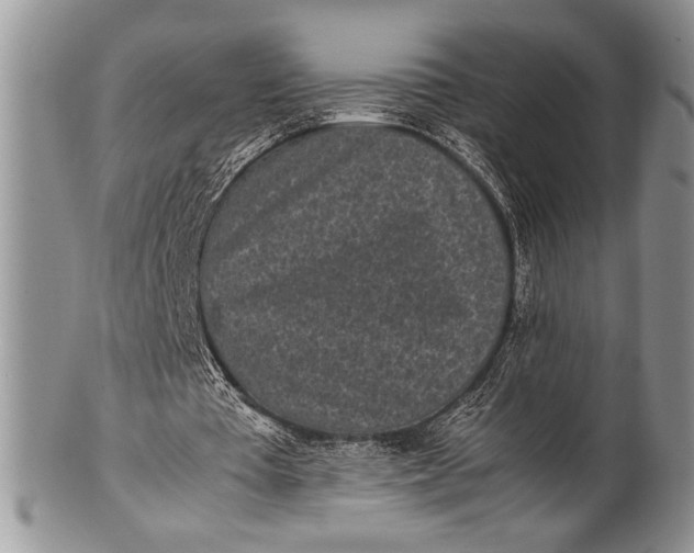 X0000100350385200806201546