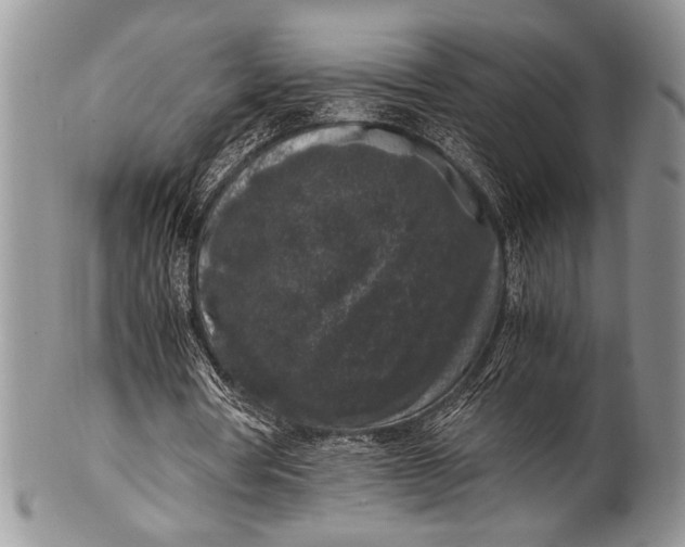 X0000100350386200806201546