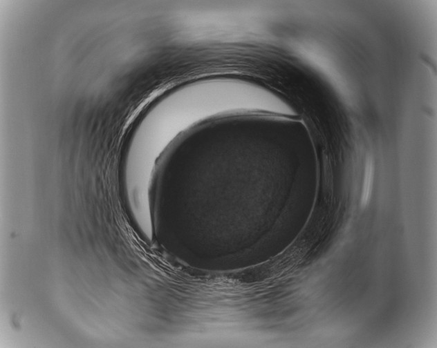 X0000100350387200806201546