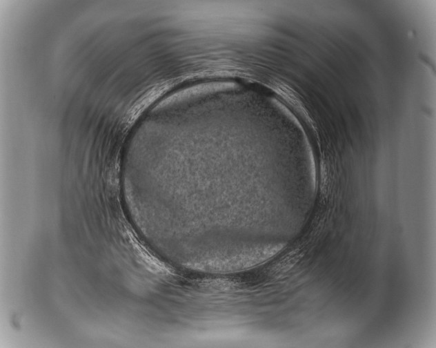 X0000100350389200806201546