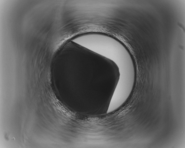 X0000100350391200806201546