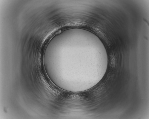 X0000100350392200806201546