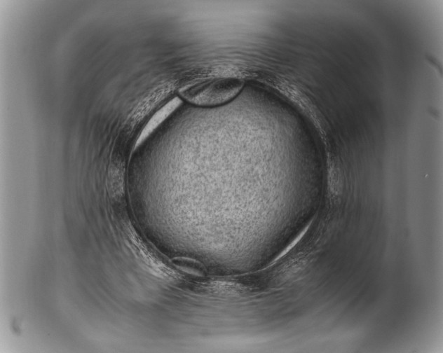 X0000100350393200806201546