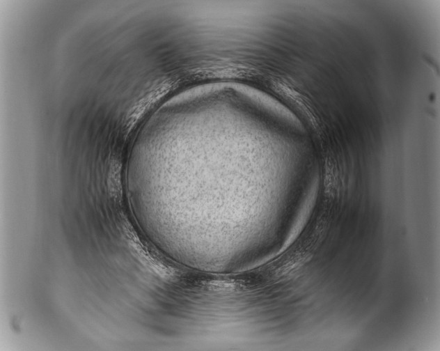 X0000100350394200806201546