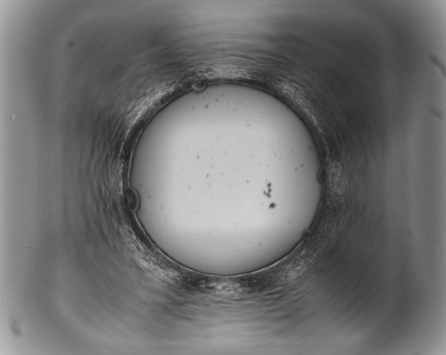 X0000100350395200806201546