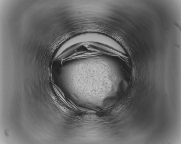 X0000100350397200806201546