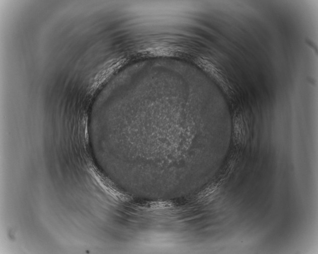 X0000100350398200806201546