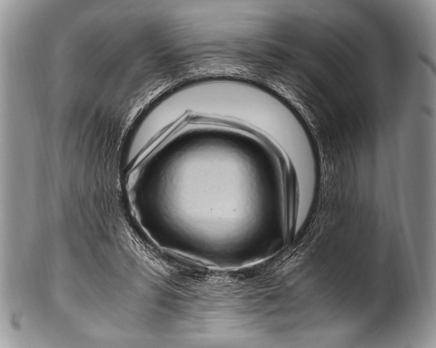 X0000100350399200806201546