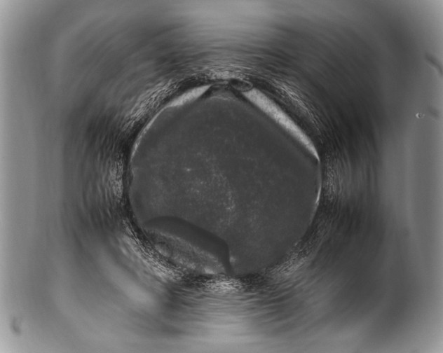 X0000100350402200806201546