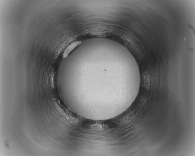 X0000100350404200806201546