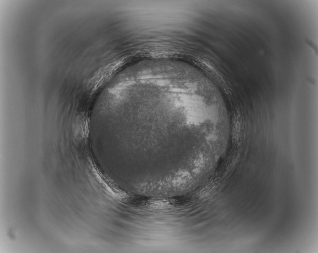 X0000100350405200806201546