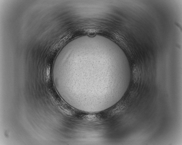 X0000100350406200806201546