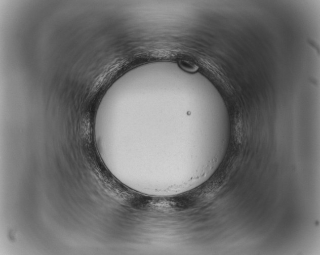 X0000100350407200806201546