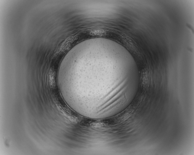 X0000100350408200806201546