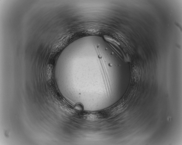 X0000100350412200806201546