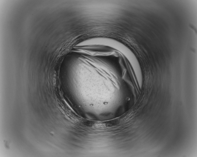 X0000100350413200806201546