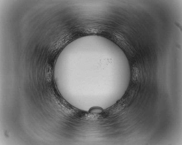 X0000100350414200806201546