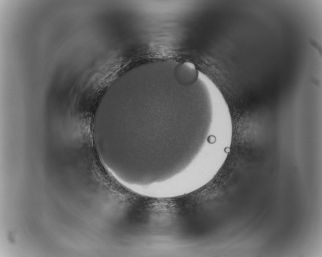X0000100350415200806201546