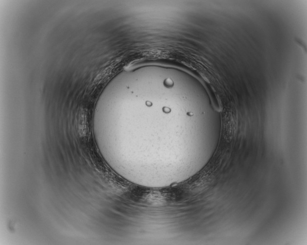 X0000100350416200806201546