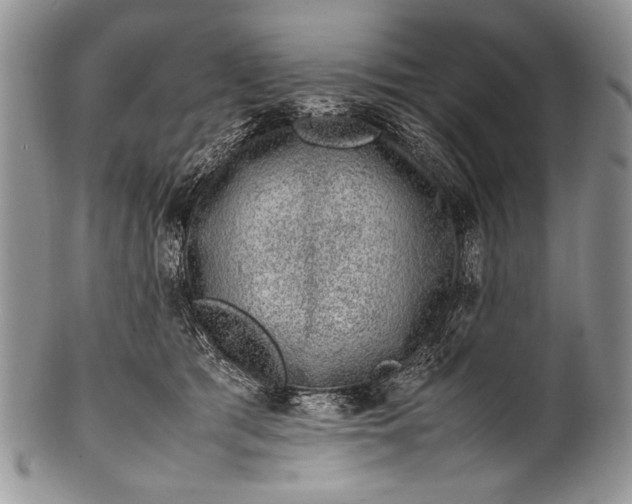X0000100350417200806201546